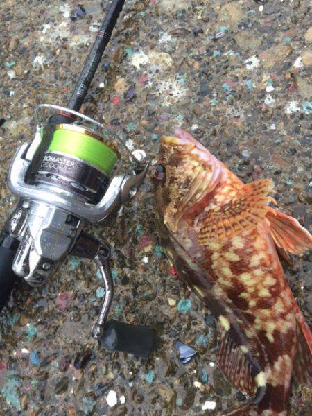 大雨のライトゲーム